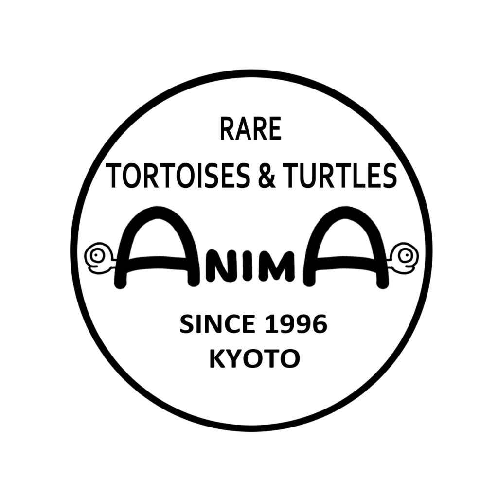 h00223_3 ANIMA