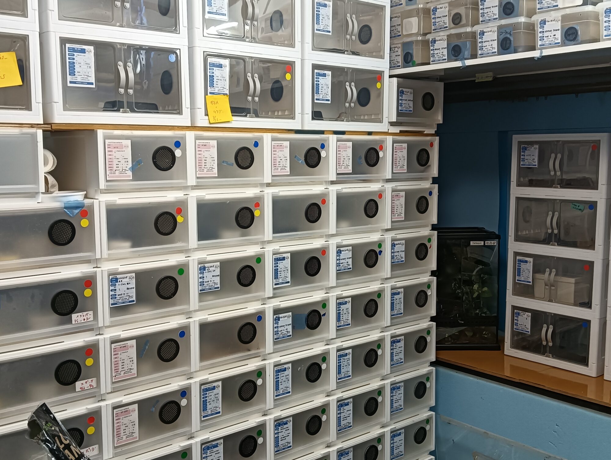 Reptile Bank powered by ANIMA