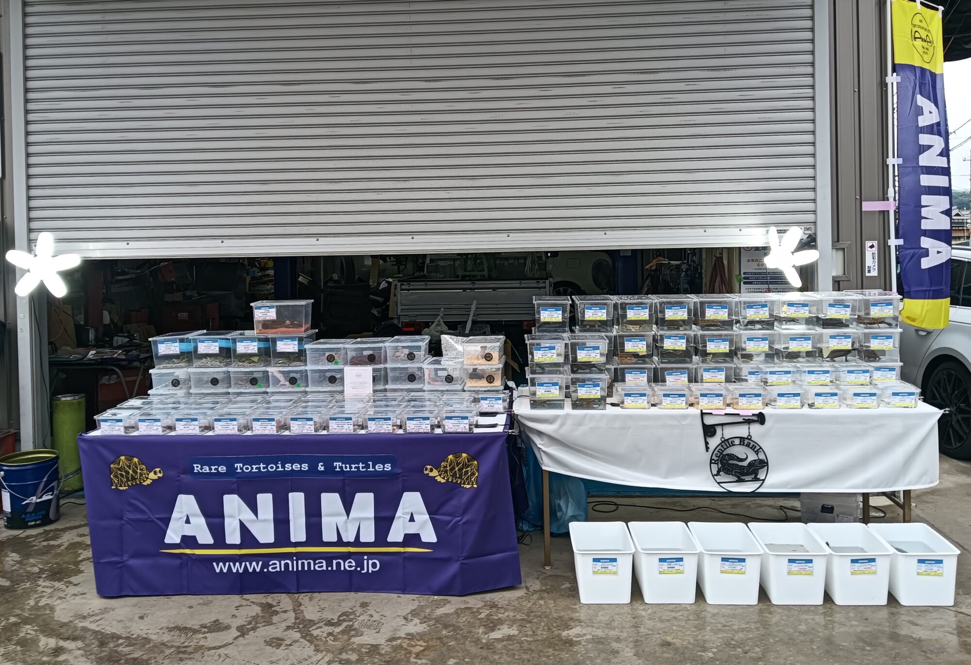 【 OTODOKE ANIMA ６th 】