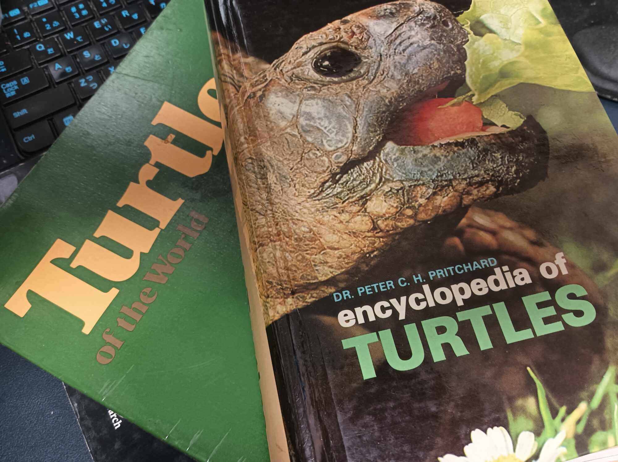 亀のレアな本 encyclopaedia of TURTLES 洋書 の 世界 | ANIMA